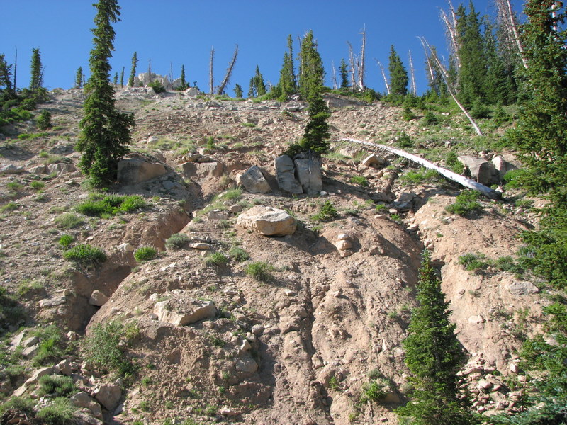 Lacustrine limestone beds of the Flagstaff Fm. 