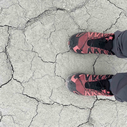 Dessication cracks in Kluane National Park during the 2024 Mars Polar Science Conference