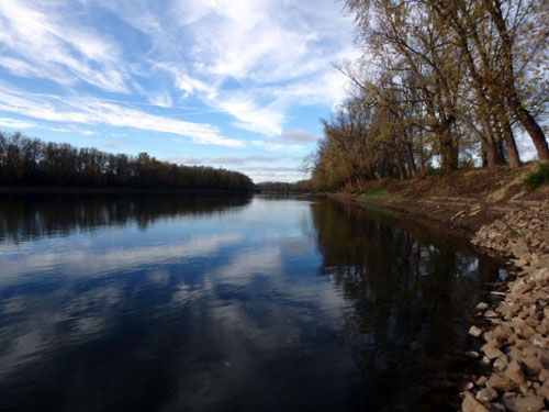 Groundwater/Surface water Interactions in Agricultural Watersheds