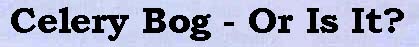 celery bog or is it?