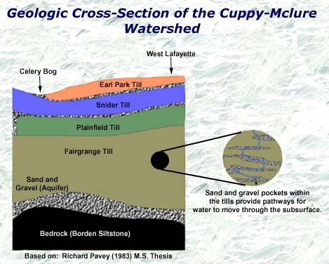 cross-section