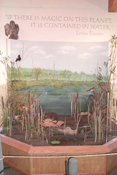 marsh display