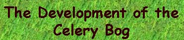 Development of Celery Bog
