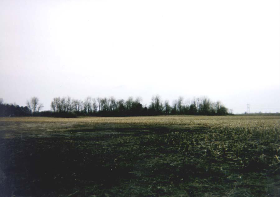 farm near celery bog