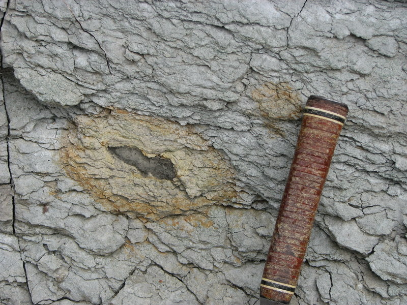 Gypsum in several growth habits 