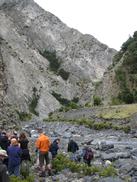 Gypsum in several growth habits 