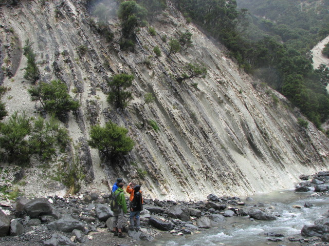 Lacustrine limestone beds of the Flagstaff Fm. 