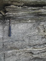 Gypsum in several growth habits 