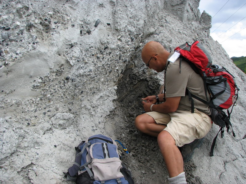 Lacustrine limestone beds of the Flagstaff Fm. 