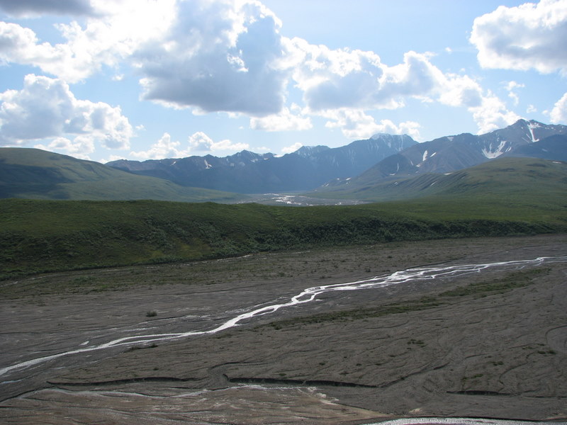 Gypsum in several growth habits 