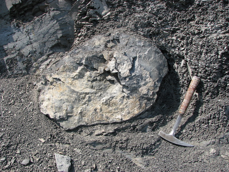 Lacustrine limestone beds of the Flagstaff Fm. 