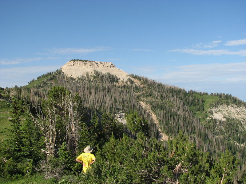 Collaborator Leif Tapanila admiring the scenery 