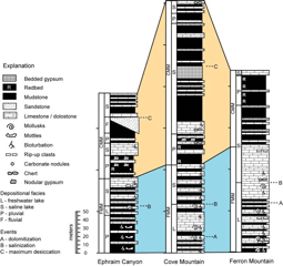 Stratigraphic columns of the Flagstaff Fm. at sites representing basin margin to basin center depositional environments (Bowen et al., in press).