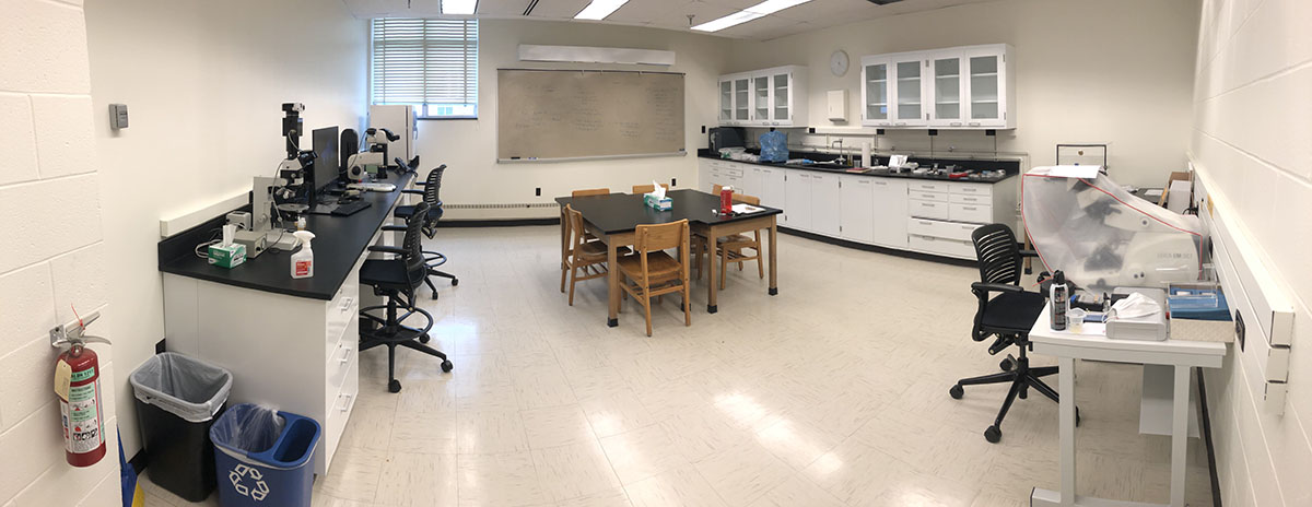 The LEAPS lab facilities