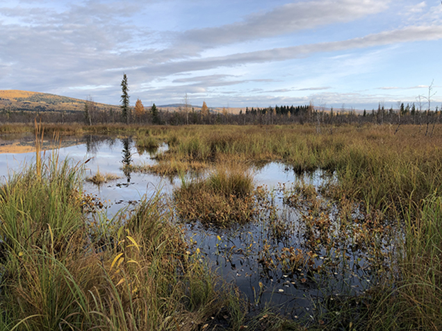 permafrost_011521.jpg