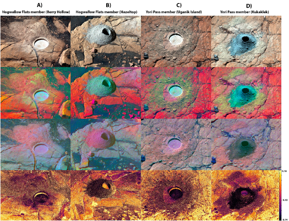 Multispectral observations on Mars