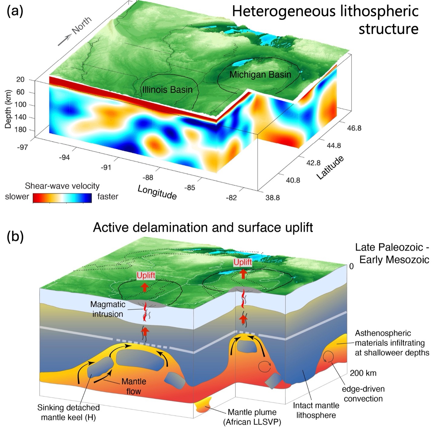 Seismic shear-wave velocity structure below the North American midcontinen