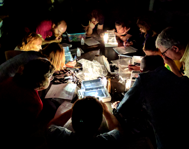 Cloud Chamber Activity