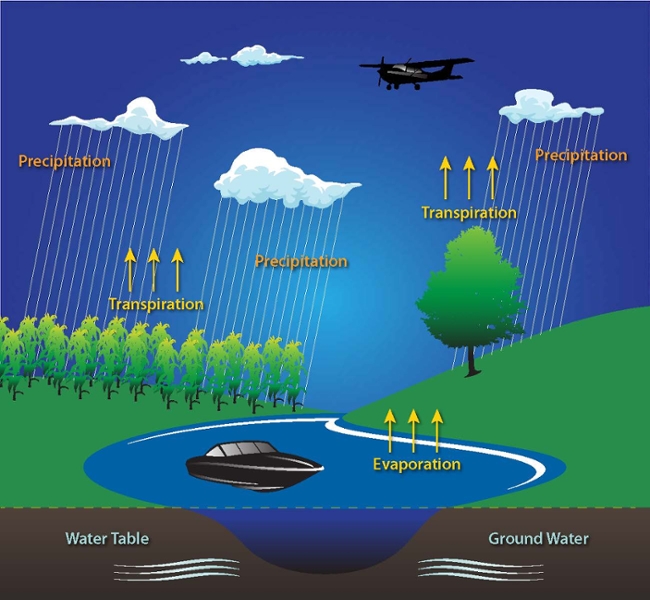 Water cycle studies