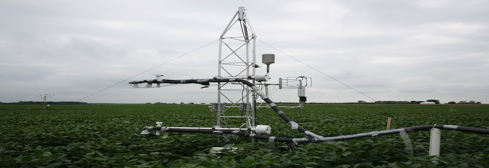 Water vapor exchange between crops and the atmosphere