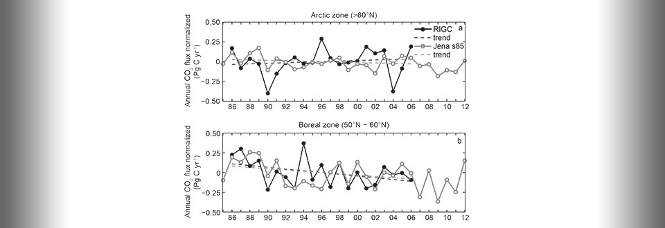Artic zone and boreal zone