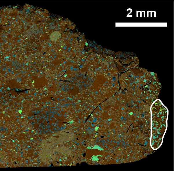 SEM image of NWA 11444.